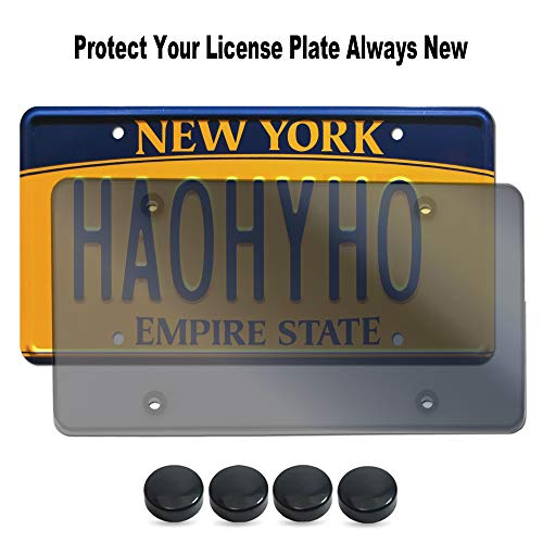 Smoked License Plate - Stealth