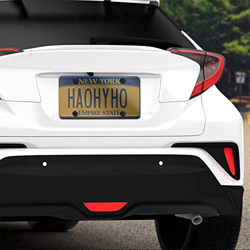 Smoked License Plate - Stealth